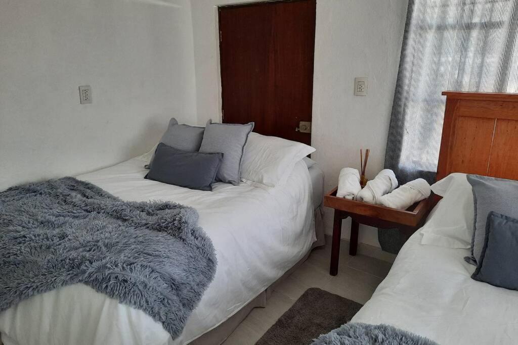 Cozy Apartment Downtown Mazatlán Εξωτερικό φωτογραφία